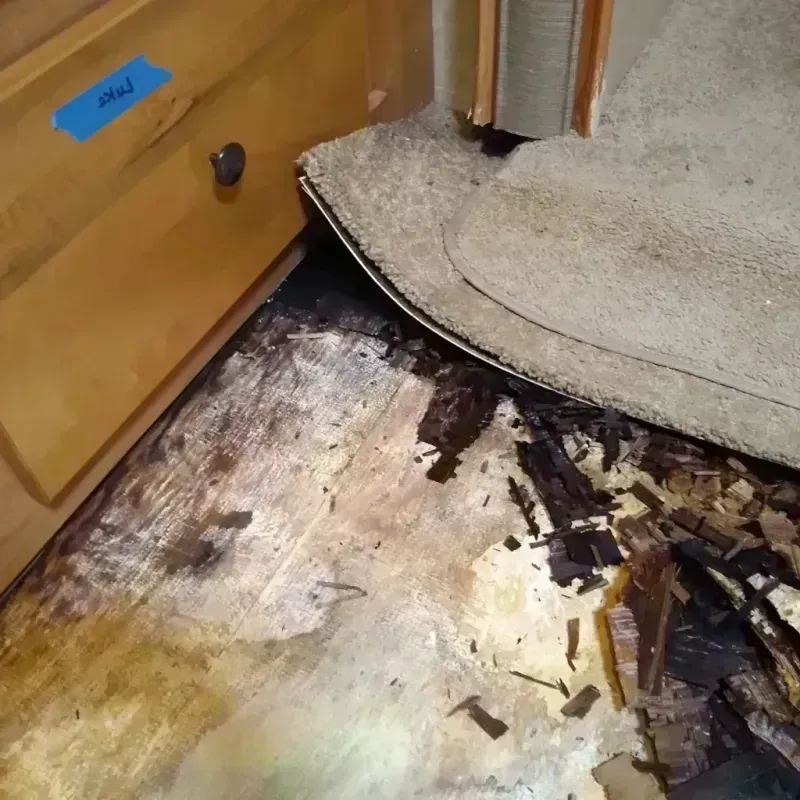 Wood Floor Water Damage in Forestdale, AL